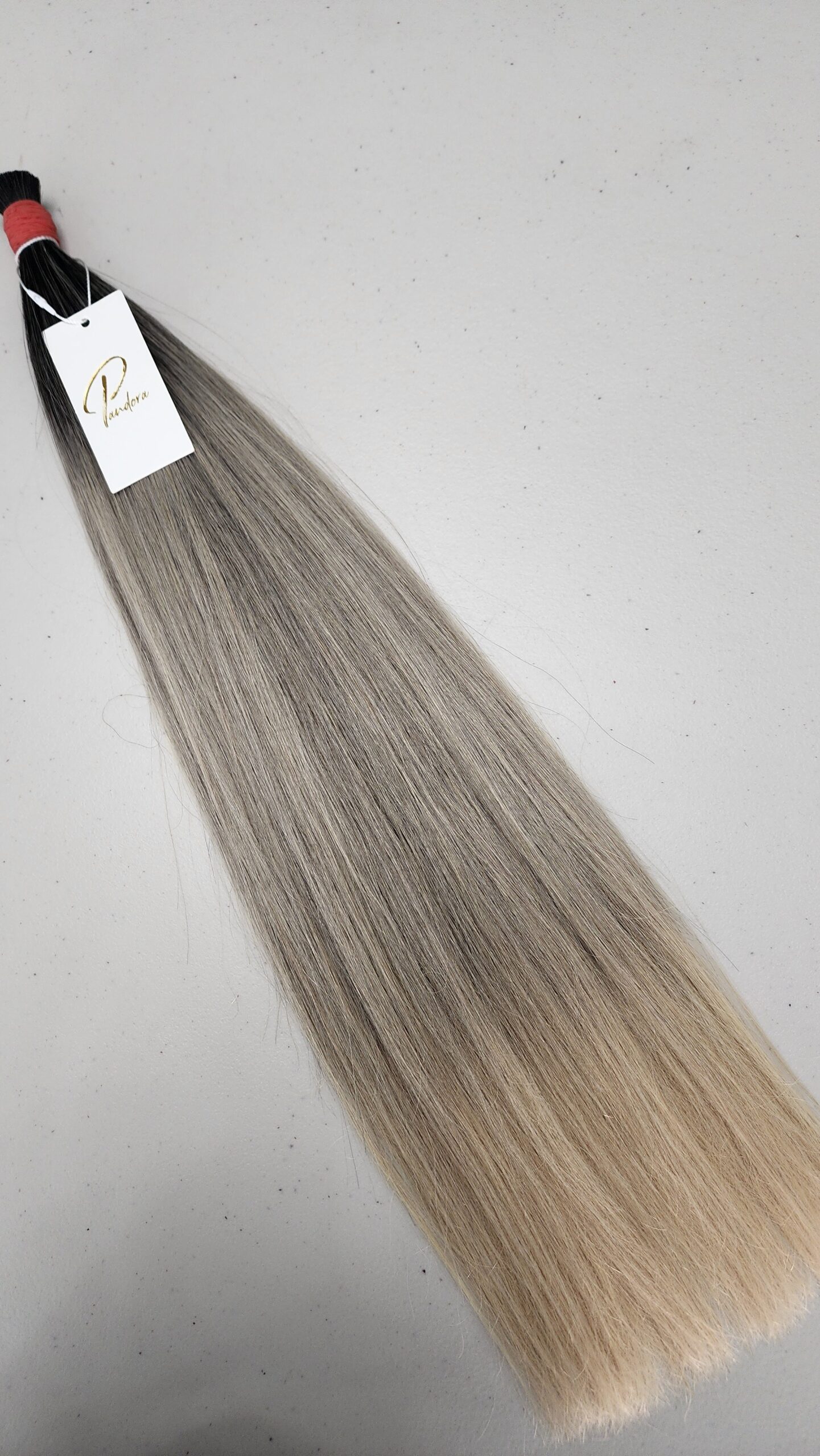 COLETA TONO #BALAYAGE PLATA